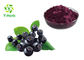 Natural Aronia Melanocarpa 25% 30% Anthocyanin Powder Aronia Chokeberry Extract