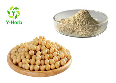 Soya Bean Extract Herbal Extract Powder Soy Isoflavones Powder CAS 574-2-9
