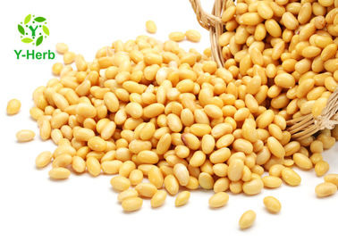Soya Bean Extract Herbal Extract Powder Soy Isoflavones Powder CAS 574-2-9